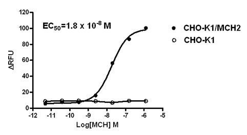 MCH2 Stable Cell Line-CHO-K1-Human(Currently Unavailable)