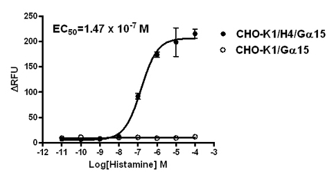 G alpha 15 Stable Cell Line-H4-CHO-K1-Human(Currently Unavailable)