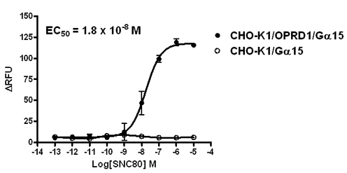 G alpha 15 Stable Cell Line-OPRD1-CHO-K1-Human(Currently Unavailable)